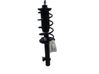 Front coil spring B000770380