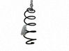 Muelle espiral trasero 9805571080