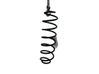 Muelle espiral trasero 9811415880