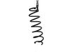 Muelle espiral trasero 9811415880
