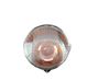 Front indicator light 