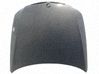 Motorhaube 41617140729