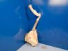 Windshield washer fluid reservoir/tank 9642546080