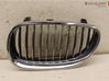 Front bumper lower grill 51137065701