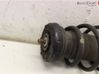 Front shock absorber with coil spring 1635535380