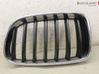 Front bumper lower grill 51117210725