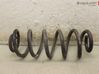 Muelle espiral trasero 13366704
