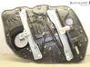 Front door window regulator with motor 824812T520