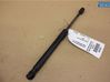 Tailgate strut 1940530