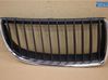 Front bumper lower grill 51137120008