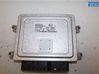 Injection control unit/module 954402DNA0