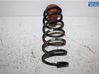 Rear coil spring 5102CW