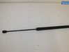 Tailgate strut 8731R6