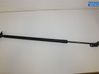 Tailgate strut 2065246