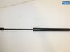 Tailgate strut 8731R6