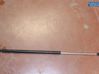 Tailgate strut 8731E0