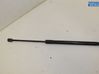 Tailgate strut 1708365