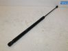 Tailgate strut 2444429