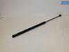 Tailgate strut 2444429