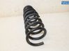 Muelle espiral trasero 55330CJCC0