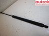 Tailgate strut 2453517