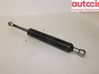 Tailgate strut 30799161