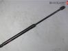 Tailgate strut 817801H310