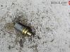Sensor 06A919501A