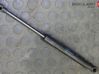 Front bonnet/hood damper/strut 8X0823359