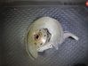 Front wheel hub 8R0505431F