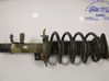 Front shock absorber with coil spring 2317526
