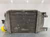Radiador intercooler 21821AA051