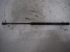 Tailgate/trunk strut/damper 10316252
