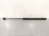 Tailgate/trunk strut/damper 8186052R01