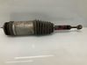 Rear air suspension bag/shock absorber 102746100G