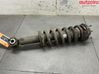 Front shock absorber with coil spring 2502218