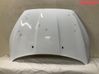 Motorhaube 1852919