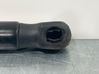 Tailgate/trunk strut/damper 1666068
