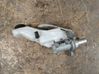 Master brake cylinder 34336858911