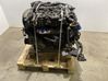 Engine 55595956
