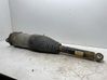 Rear air suspension bag/shock absorber 600635200C