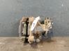Rear brake caliper 2K5615423