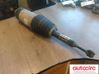 Rear air suspension bag/shock absorber 102746100G