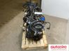 Engine 55594612