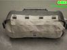 Passenger airbag 1876887