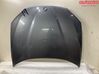 Engine bonnet/hood 41002993151