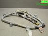 Airbag del techo 98251FJ051