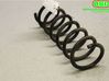 Rear coil spring rubber mount 