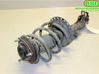 Front shock absorber with coil spring 4060A422