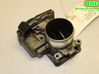 Throttle body valve 351002F100
